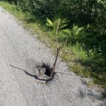 Schlagloch gesichert!