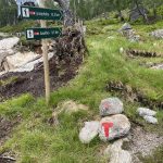 Endlich auf Wanderwegen