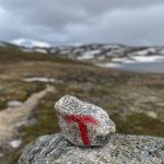 Immer dem roten T hinterher