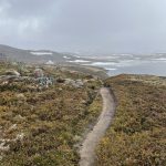 Kein Zweifel wo es lang geht