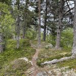 Kontrasreiche Landschaft