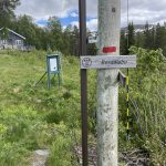 Auf dem richtigen Weg