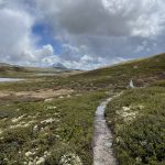Fjellwege Hardangervidda