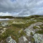 Aussicht auf das Halingskarvet