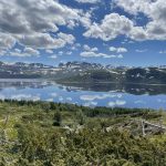 Der Frühling ist da