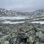 Eisige Höhen in Jotunheimen