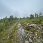 Letzter Berg vor Otta