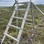 Brücke über die Rentierzäune