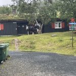 Alternatives Fortbewegungsmittel