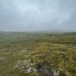 Endloses Regenwetter