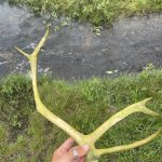 Schatz aus dem Fluss