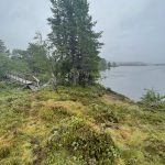 Nass von allen Seiten