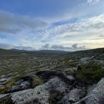 Abendstimmung im Fjell