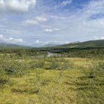 Freiheit und Einsamkeit