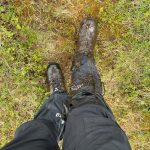 Einmal voll versumpft!