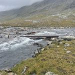 Das soll also eine offizielle Brücke sein?