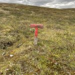 Ein besonderes rotes T