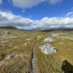 Schmale Pfade durchs Fjell