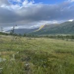 EIne Mischung aus Wäldern und Fjell