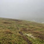 Was für eine Nebelsuppe