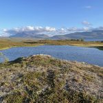 Hier lässt es sich aushalten