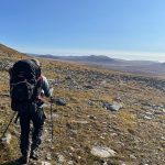 Northbound Traveller