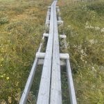 Locker über die sumpfigen Stellen