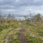 Hier wächst nicht viel