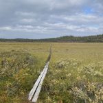 Selbst mit Planken noch ein Sumpffest