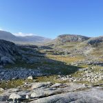 Wieder nach oben ins Fjell