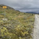 Und wieder die Grenze