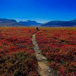 Was für ein Herbst!