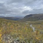 Hinab in die Wälder