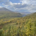 Hochnordische Wälder