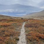 Übers Fjell nach Innset