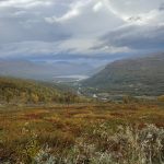 Innset in Reichweite