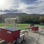 Beste Aussicht für Baras