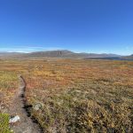 Ins einsame Fjell hinein