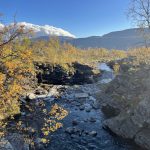 Flüsse durch herbstliche Landschaft
