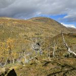 Weiter nach des Gaskasshytta