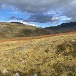 Das Rot ändert sich in Braun