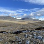 Weitläufige Einsamkeit