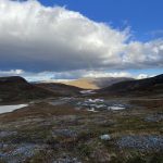 Lichtspiele im Fjell