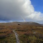 Regenbogen über der Vuomahytta