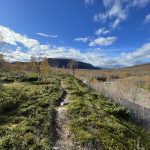 Die Blätter sind hier schon gefallen