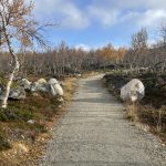Wieder aus Kilpisjärvi raus