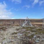 Treppen über Rentierzäune