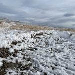 Die Wege werden weiß