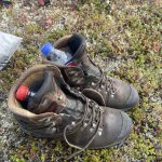 Einmal auftauen bitte!