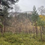 Oben grüßt schon der Schnee